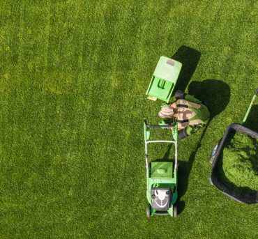 Lawn-Maintenance Lawn-Maintenance