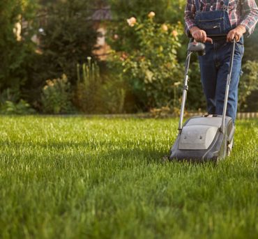 Lawn-Maintenance1 Lawn-Maintenance1