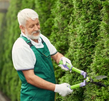 Pruning-plants Pruning-plants